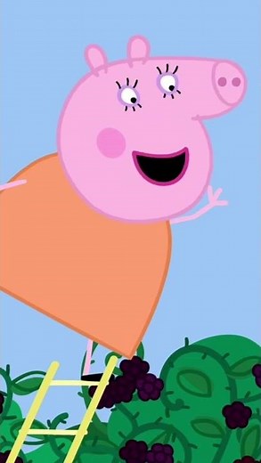 Oops! Mummy Pig Climbs into the Blackberry Bush | Peppa Pig Official | Family Kids Cartoon