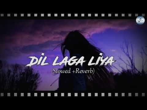 DIL LAGA LIYA | Slowed +Reverb | Lofi Song #lofi #trending #music