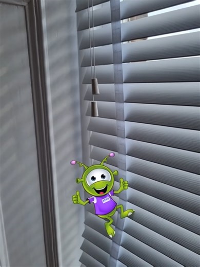 Upgrade Your Windows with Custom Blinds from Impact Blinds