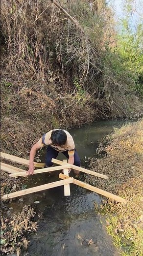 Build a wooden bridge over the small river in the wilderness