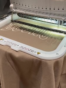 Bluey Embroidered Sweatshirt – Custom Cartoon Dog Crewneck, Kids & Adult Bluey Gift, Family Matching Pullover, Cute Animated Character Shirt - Etsy