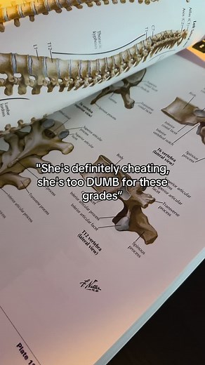 Effective Study Methods for Visual Learners