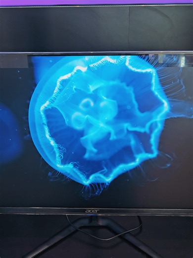 Acer Nitro KG240YX1 23.8