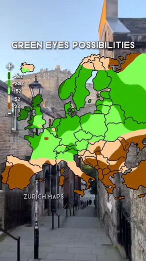 Exploring Zurich Maps: Geography and Green Eyes