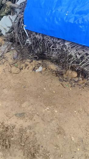 sathish on Instagram