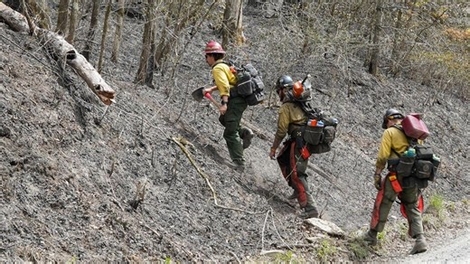 Containment improves for Cole Gap Fire and Cold Springs Fire as dry weather persists