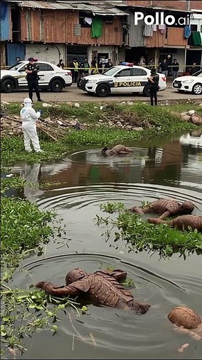 part198:mysterious Alien First Contact | Stunning Sci-Fi Animation