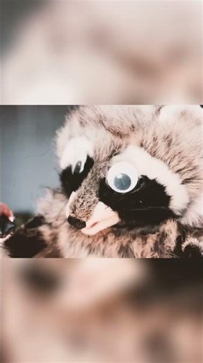 Puppet Show's Risque Secret: Fox & Raccoon's Intimate Revelation! | The Exploding Boy #stashgaymen