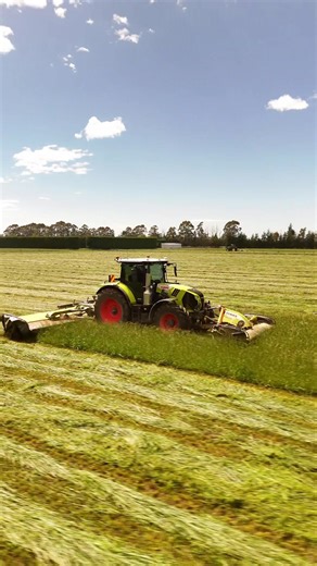 Mastering Silage Mowing Techniques with Claas Equipment
