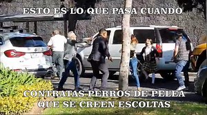 Mario Falcone on Reels