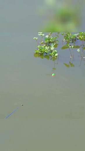 Fishing Skills: Woman Catches Fish by the Water