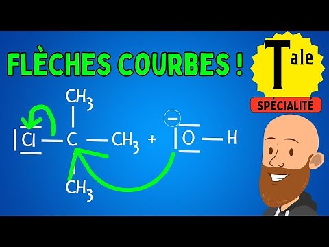 Microscopic modeling of the evolution of a system (curved arrows) - final year physics and chemistry