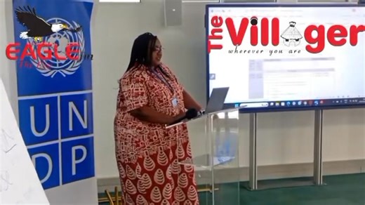 Uazamo Kaura from the United Nations Development Programme (UNDP) Namibia outlines the importance of engagement by government representatives in relation to Namibia's commitment to its own Nationally Determined Contributions to the United Nations Framework Convention on Climate Change (UNFCCC). Kaura was speaking at the inception meeting of the second capacity building initiatives for transparency - Namibia's second biennial update report - the combined third biennial transparent report, and the