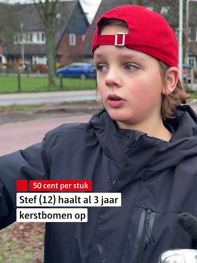 Stef Haalt Kerstbomen Op voor het Goede Doel