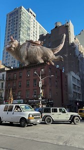 The Big Apple? More like the Big Appa 🏙️ 🥺 | Avatar: The Last Airbender