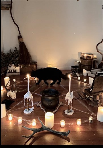 Witchcraft and Cats: Our Feline Intuitive Allies