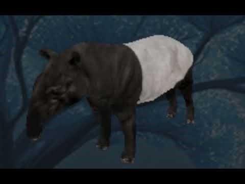 Wild animals online Tapir attack sound effect