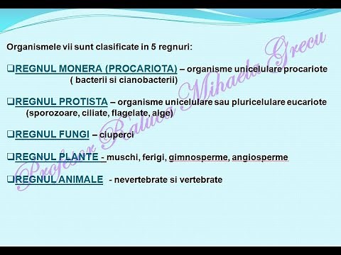 CLASSIFICATION OF VEHICLES - Scheme for BAC grids