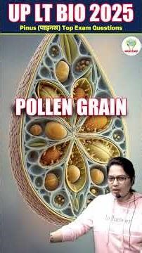 🌲 Pinus (पाइनस) Top Exam Questions 🔥 | Sulphur Shower & Features | Biology by Anju Mam