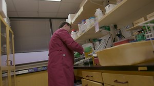 39K views · 1.1K reactions | When a UC San Diego professor was put in the hospital after becoming ill with a deadly "superbug," Texas A&M scientists raced against the clock to save his life! The bacteria-fighting phage — a virus that can kill bacteria — developed by the Aggies not only saved his life, but has the potential to save many more lives in the future. tx.ag/TAMUcpt | Texas A&M University | Facebook