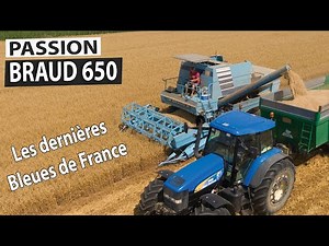 Les dernières Bleues de France - BRAUD 650 à la récolte de l'avoine