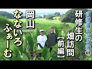 【自然農】自然農を巡る旅①研修生の畑訪問 岡山「なないろふぁーむ」 2024年7月28 日【natural farming】