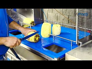 Compact pineapple line for pineapple in chunks and fingers