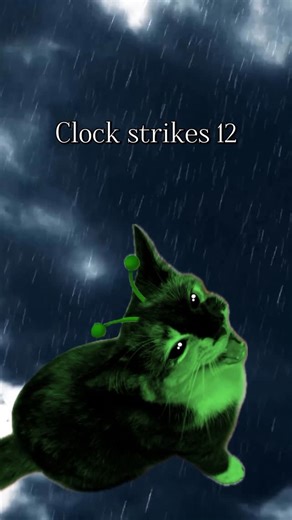 Biscuit and Muffin on Instagram: "CLOCK STRIKES 12 - #cat #catmemes #memes #aliencat #alien #gnarpy #dax"