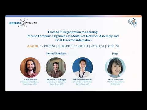 Neurocomputing with Brain Organoids: Closed-Loop Learning and Network Dynamics | Organoids + HD-MEA