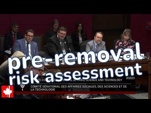 CBSA, IRCC testify on Pre-Removal Risk Assessment (PRRA) of refugees at Senate hearing, 12 Feb 2026