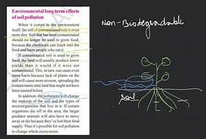 Environmental long term effects of soil pollutionWhen it comes... | Filo