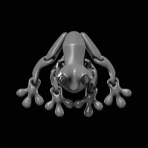 Flexi Frog STL File for 3D Printing - Etsy Australia