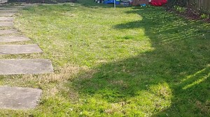 19 reactions · 4 comments | I built a backyard golf course at my home yesterday! I documented the whole project, from conception, to routing, to making the course. Take a tour of the six-hole short course! | Golf News Net | Facebook