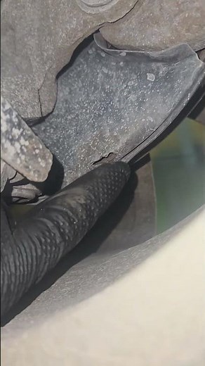 Honda CRV brake diagnosis
