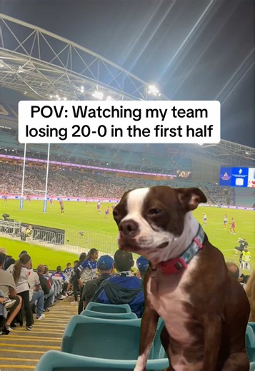 NRL Bulldogs Comeback Triumphs in Epic Match