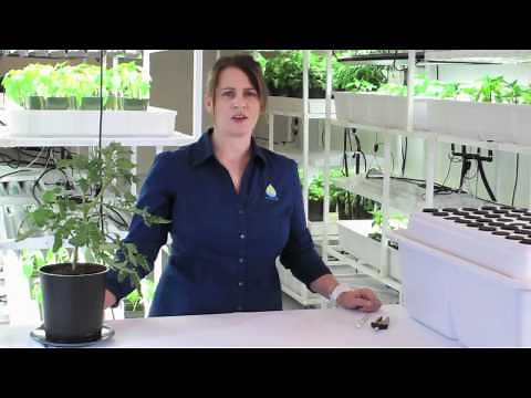 How to Clone Plants with Botanicare Power Cloner 45 System.mov