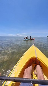 Would you go kayaking in the back country of Key West? #keywestvacation #kayakingadventures #VacationPlans | Key West Virtual Tours