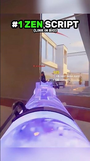 The Only Good Zen Script For COD