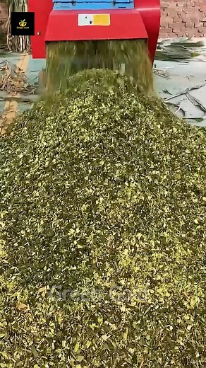 117K views · 680 reactions | Cattle Feed Silage Sheep Chaff Cutter Machine | Green Gold | Facebook