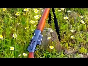 Remington Model 81 Woodsmaster