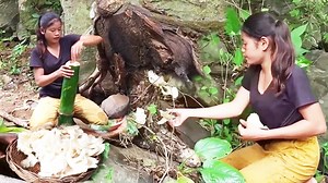 270K views · 5.9K reactions | Hello Everybody, Welcome to my Page #Lisa_Cooking. Today I would like to show about " Survival Skill Cooking Mushroom in Bamboo whole and Cooking Sour Fish Soup " We have two part clips in this videos. Thank you for watching Follow me at YT & Page: Lisa Cooking #LisaCooking #Mushroom #fish | Lisa Cooking | Facebook