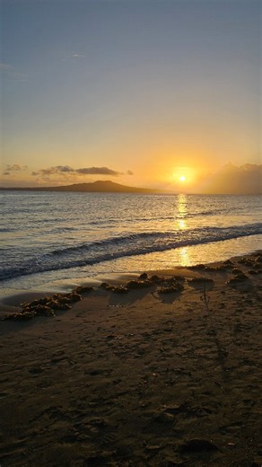 Welcome to 2026! I love watching the sunrise at the beach, and I wasn't alone this morning. Hope 2026 brings all that your passions desire and more 😊🙏🪶✨️♾️ #newyear2026 #sunrisephotography #nzsummer #nzbeaches #outdoors | Sarah Blundell