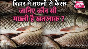 Bihar में Ban होगी ये Fish, Cancer पैदा करने वाली Fish से हड़कंप | Bihar Tak | Bihar Tak