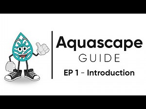 Aquascape Guide - Achieving Balance in a Planted Aquarium / EP 1 - Introduction