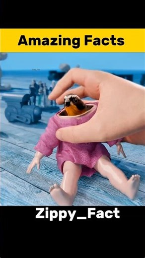 Creepy Doll Secret You Didn’t Know 😨 #shorts