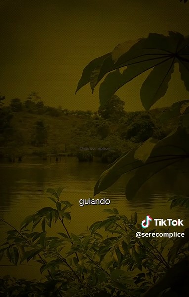 Hay días en los que todo parece incierto y las respuestas no llegan. Pero la fe consiste en seguir caminando incluso cuando no puedes ver el destino. Dios no siempre revela el camino completo; muchas veces solo te da la fuerza para dar el siguiente paso. Confía, sigue orando y no te rindas. Lo que hoy no entiendes, mañana tendrá sentido. #Fe #Dios #Esperanza