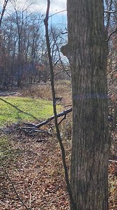 The Whitetail Guy on Reels