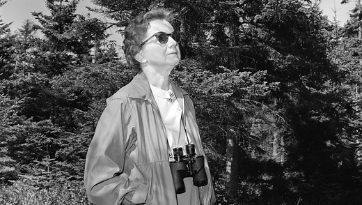 “Printemps silencieux” ou comment Rachel Carson a modernisé l’écologie