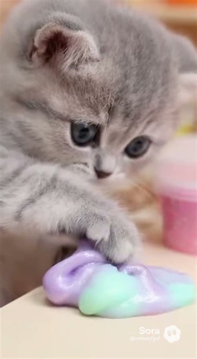 Tiny Kitten Creator Tries Slime for the First Time 🧪🐾 #catshorts #cat #cute #kitten