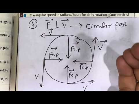 Exercise MCQs in detail, Chapter 5, class 11th